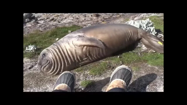 ����ϾФ���ͽ�۰ʾ�˷㤷��ž��������륾�������饷