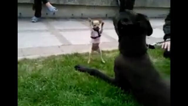 �����ʥ���郎�緿�����졼�ȥǡ����ʸ���̤�Ω���������ͻҤ��İ���