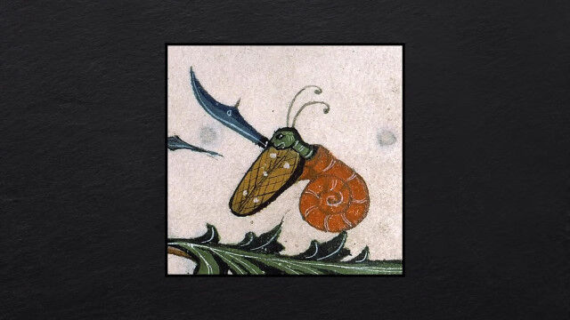 �����γ����������Ƥ����̯����ʪ���Ͷ��β�ʪ������Ҳ𤷤��ȥå�10