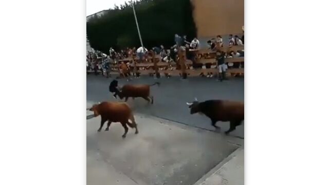 ԵͿʤŪϢ³ǲ򡪵ɤפι