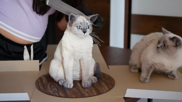 猫さん、自分ソックリのケーキが切られて衝撃を受ける