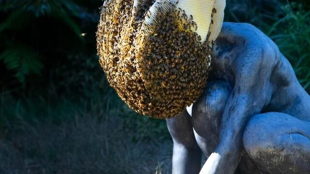 Ƭ���ϥ�����Ȥ����۷�Ƭ���ƥ���ե���˥������ǡ�������Ѵۤ�Ħ��