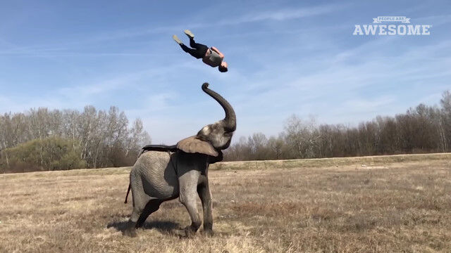 人間って凄い!驚くような技を見せる、凄い人々の映像集 PEOPLE ARE AWESOME 2017