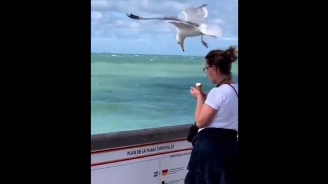 ����ʤ˶᤯����ͷ���륫���ˡ��������Ť��ʤ����Ф��������