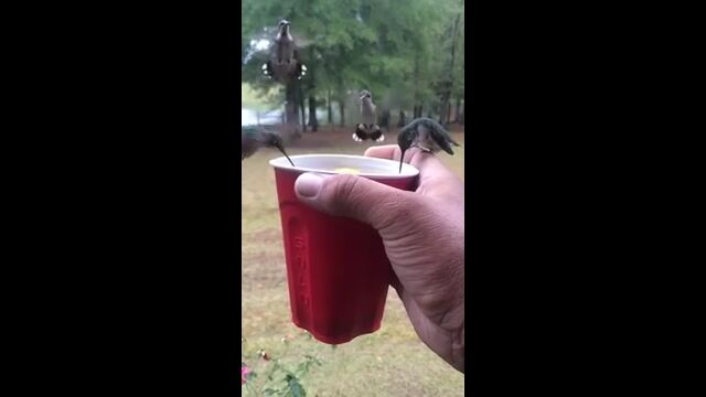 �ʤ�����ޤ�������˻��ä����åפκ������ϥ��ɥꤿ�������ߤ����Ȥ�������