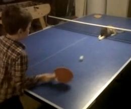 ǭֵ夷Ƥ롪ԥݥͷֻǭȾǯ