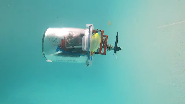 쥴ץåĥ̤뤳Ȥǿ٤Ĵ뼫Υ쥴