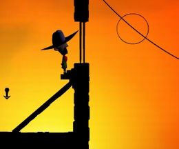 æȤݰ´򤽤줾륯åɥ٥㡼Sheriff Chase