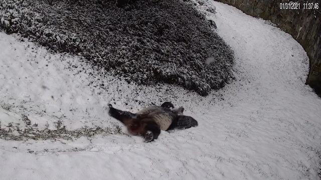 ξߤȤ԰٤˳ڤǤ른㥤ȥѥ