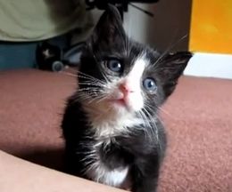 ФΥȲҼ鱴ˡ̲ꤽѤǭ