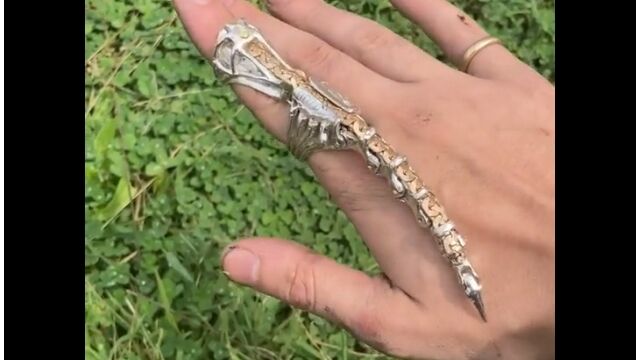 ��������Ϥ�����°���β�ư���ء��Ȥ��ʤ����ɤ���ä��ߤ���