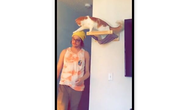 ���������ξ���­����äƤ��ä�ǭ����ư˹�Ҽ�곰�����֤Ȥʤ�