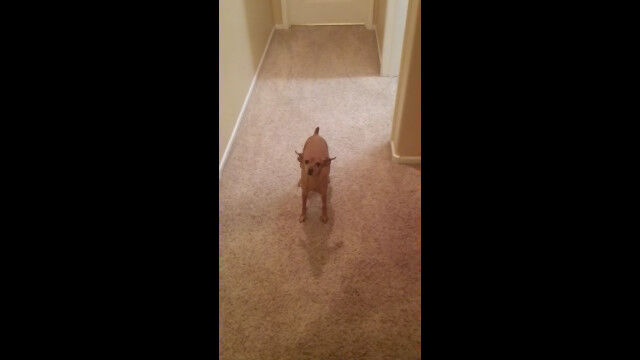 �롼��ᥤ�Ȥΰ��������鸤�ʤ����ˤ���äȺ��äƤ��ޤ�����