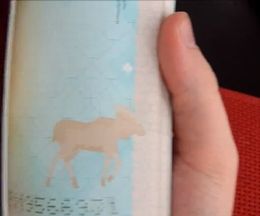 ��ǯ�������ʤä��ե�����ɤΥѥ��ݡ��ȤϤȤäƤ⤪����