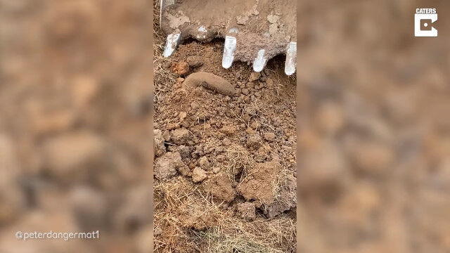 ���ä��㤤����ܥ����ߤ����������ʪ�򥷥�٥륫���Ƿ������ƤƤ��ޤ������Ĥ�夲����