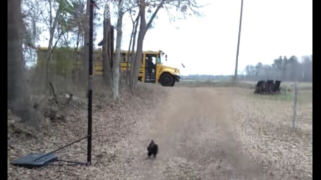 Х˶äơλҤ򤪽зޤ˥ȥ꤬İ