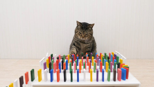 �����ͥ�����ߤ���Ϣ����³�����ͥ��Ȱ��Υɥߥ��ݤ�