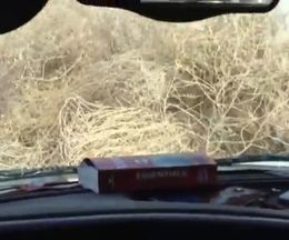 ������Ǥ������ߤ�ž����ݤ����줬����ȯ����������Ȥ���ʤ˹󤤤��Ȥ�