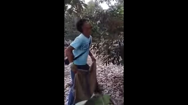 ����Ƥ���ɥꥢ����ޤǥӥ��äȼ����ߤ�롢�ɥꥢ����Ϥο��͵�