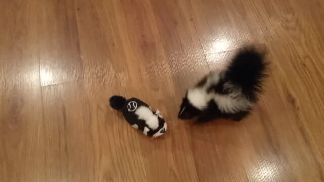 �����󥯤Υ�������ͷ���֤���󥹥��󥯤��İ�������