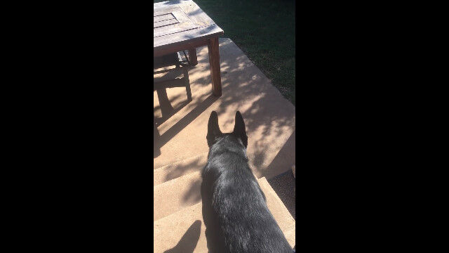 ���˳Ф������Ƥ����ȡ����������������ʷ�