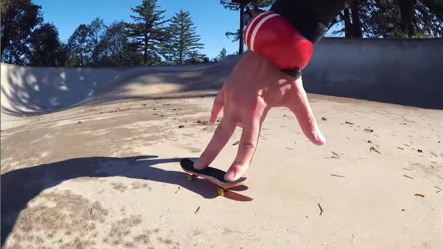 �鵻�ɤμ꤬���Ϥ��äפ�˸����Ĥ��롢�ߥ˥��奢���ݡ��Ĥο���������