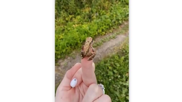 ���������ˤϥ����פ�����˥ߥ���