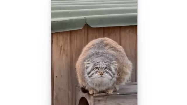 礤礤ǤäߤΩġݤäޥ̥ͥ