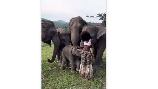 �̿����ꤿ�������ʤΤˡ��������֤���󤬸������������Ѥ����ʤ��Ф���