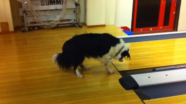 �졼��֥ե����롪�׸��֡����ץܥ���󥰾�Υ֥������˹��Ƥդ��᤯�ܡ��������꡼��