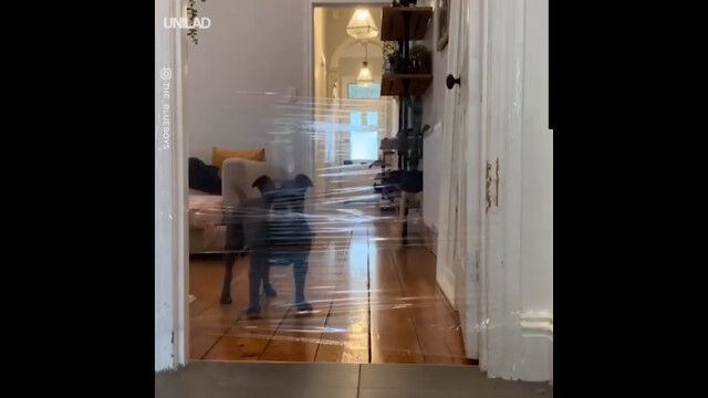 ��åץե����Ǻ�ä�Ʃ�����ɤ��Ф������Ϥɤ�����ȿ���򤹤�Τ��¸����Ƥߤ�