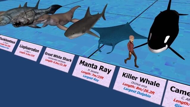 ��¸�μ狼�����Ǽ�ޤǡ�������ʪ���礭�����¤٤���٤�����