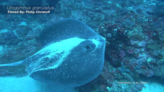 �����顢�������Ĥ�����Ͽ�������ʤ��Ȥ�2��Υ�������ȯ�˲���Ф��Ƥ��������ǧ�����