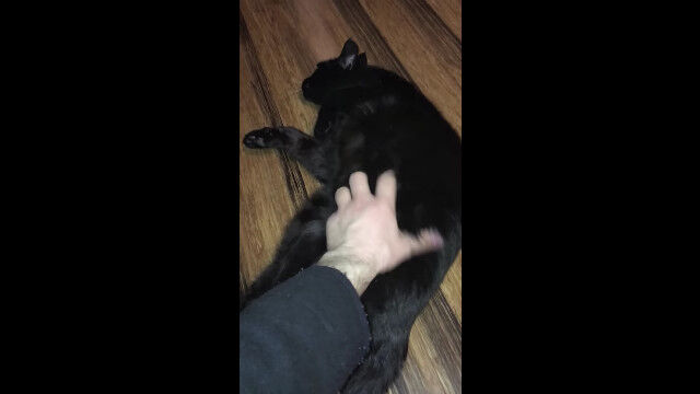 ǭ�Τ����������ΤΤ���ʤ����������ӽФ����񸽾�