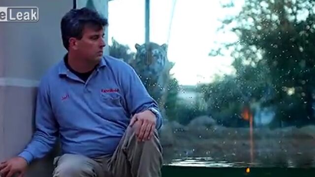 ưʪ��Υȥ�����ˡ֤���ޤ��󤬤�������פ��Ƥߤ�