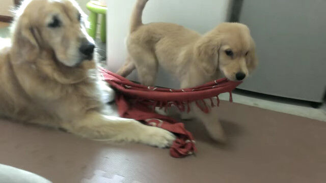 ½ϤƹԤä褿ꡢ㤦Ҹ