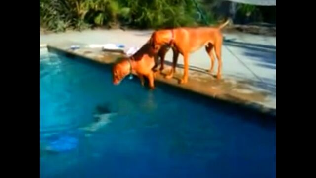 �����ѤϤ䤯�����ʤ��㡪�ץס�������뤴����ͤ����ۤǤ��������ʤ���