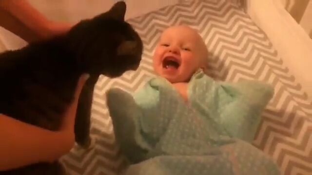 ǭ�򸫤���綽ʳ�������Х�����֤���󤬲İ�������