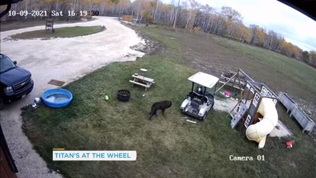 եȤ򾡼˱žͻΤ򵯤