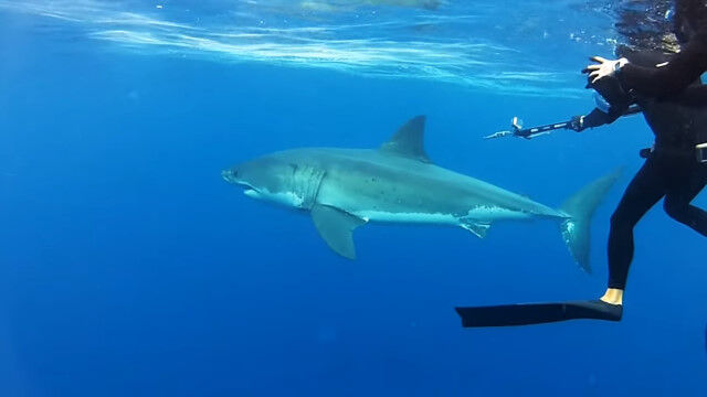 �ۥۥ�������Ȱ��˱ˤ�������Ƥǲ�������������������С�