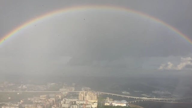 ���إӥ�����ѥ�����졼���Ȱ����ܤˤ������߷�������������