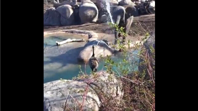 �Ӥ֤륾���˿�򤫤���졢�����Ƥ�Ω�����������Ʈ�迴������