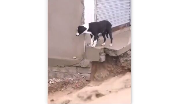 ﳲǼĤ줿򡢴ְȱߤäִ