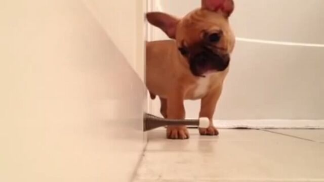 ʪΡХ;θ̤碌Ĥļ򷹤ե֥ɥå