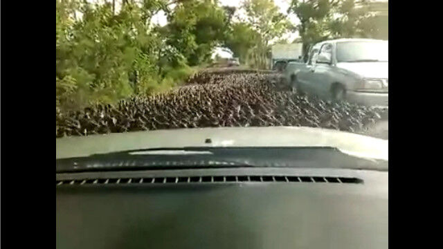 ƻϩ�򤹤٤����Ԥ��������Υ�����緲����������Ȥ�������