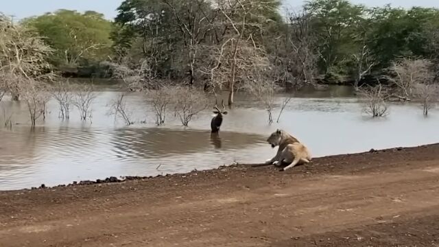 Υ饤󡢸Υˡ饤ɤƿդƨ˥顢٤ϥˤ