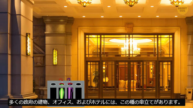 ���ܤˤ���¸�ߤ��ʤ���29��ʪ���򽸤᤿�ޤȤ����