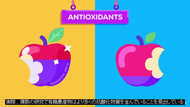 �������˥å����ʤ��������ɤ���Ρ�����Ȥ⤪��Τ�����ή�Ԥ˲᤮�ʤ��Τ���������Ū�˲��⤷������