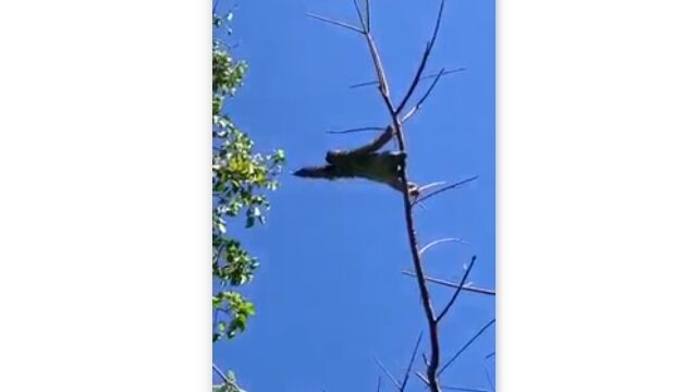 �դ��Ƥ��Ƥ���¡���ä��꿵�Ťˡ��ڤ����ڤؤȰܤ��Ϥ�ʥޥ����