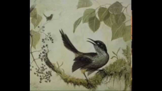 Ĥƥ©ƤǼߥĥǤϿ줿Ĥᤷ